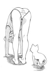 Post 945075