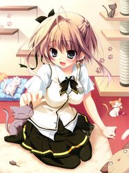 Post 950173