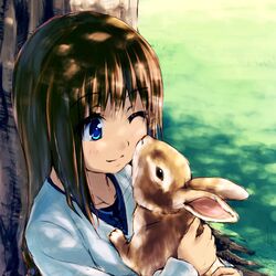 Post 950655