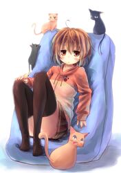 Post 954182