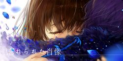 Post 958049