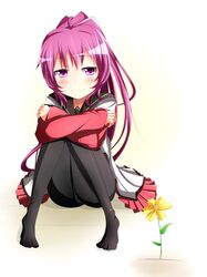 Post 973073