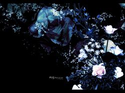 Post 96517