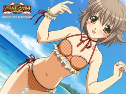 Post 97338